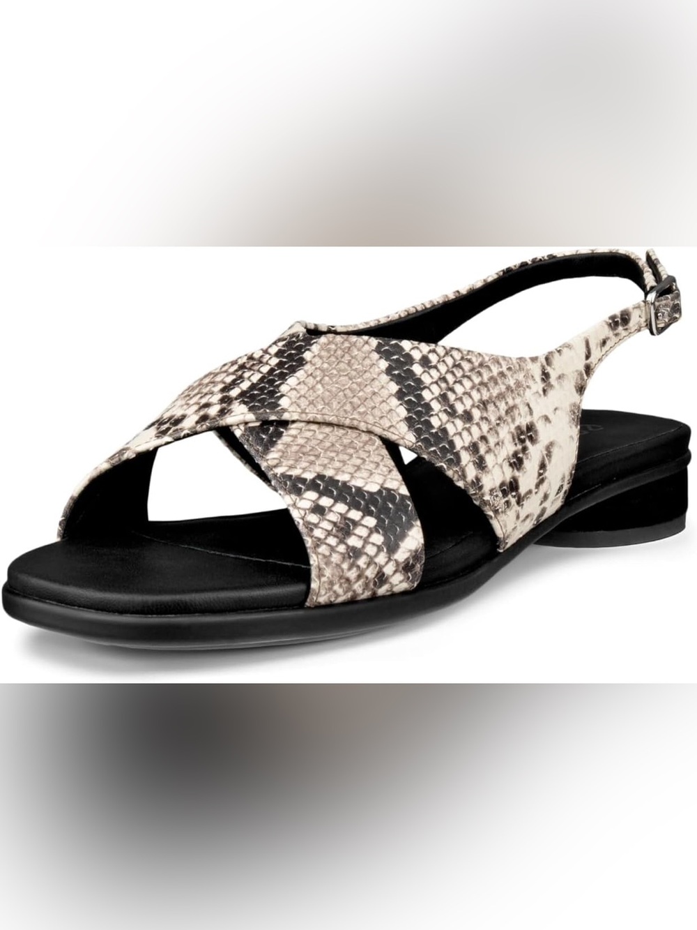 ECCO Women's Sculpted Alba 25 Slingback - Snake-Print